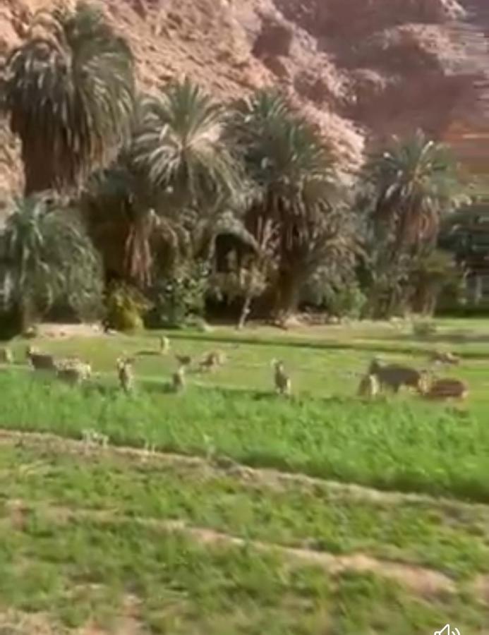 Riad Dar Ahlam Ait Baha Bagian luar foto